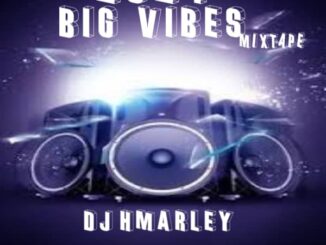 DJ Hmarley 2024 Big Vibes Mixtape